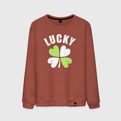 Свитшот хлопковый мужской Lucky day, цвет: кирпичный