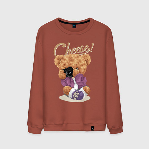 Мужской свитшот Плюшевый медвежонок фотограф / Кирпичный – фото 1