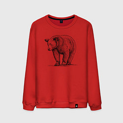 Свитшот хлопковый мужской Медведь гуляющий, цвет: красный
