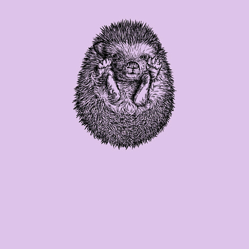 Мужской свитшот Ежик свернулся клубком / Лаванда – фото 3