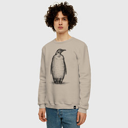 Свитшот хлопковый мужской Пингвин стоит, цвет: миндальный — фото 2
