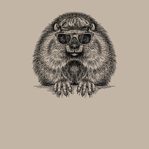 Мужской свитшот Суслик в очках / Миндальный – фото 3