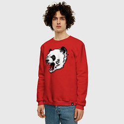 Свитшот хлопковый мужской Оскал панды, цвет: красный — фото 2