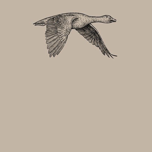 Мужской свитшот Гусь в полёте / Миндальный – фото 3