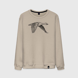 Свитшот хлопковый мужской Гусь в полёте, цвет: миндальный