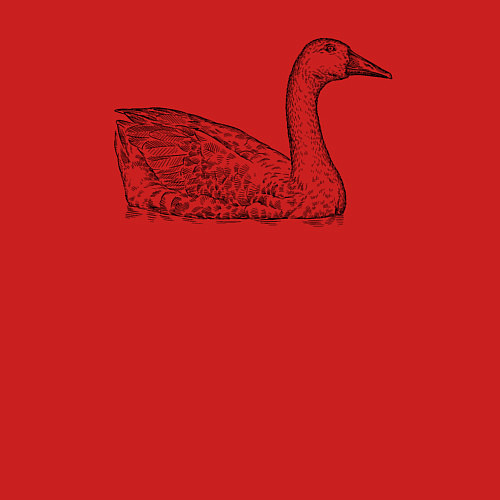 Мужской свитшот Гусь плавает / Красный – фото 3