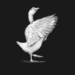 Свитшот хлопковый мужской Гусь белоснежный, цвет: черный — фото 2