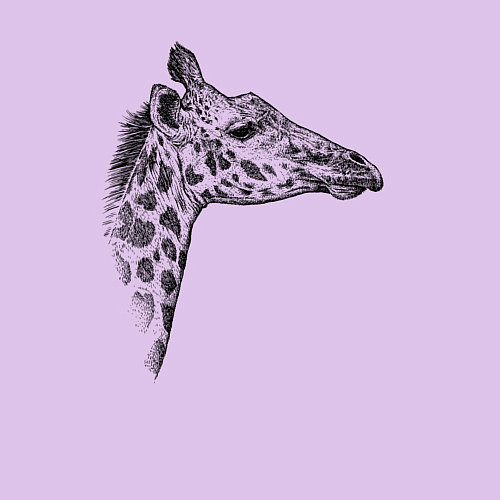 Мужской свитшот Жираф в профиль / Лаванда – фото 3