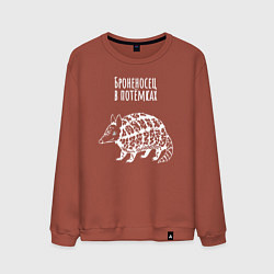 Мужской свитшот Броненосец в потёмках пародия