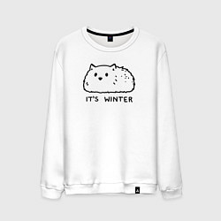 Свитшот хлопковый мужской Cat its winter, цвет: белый