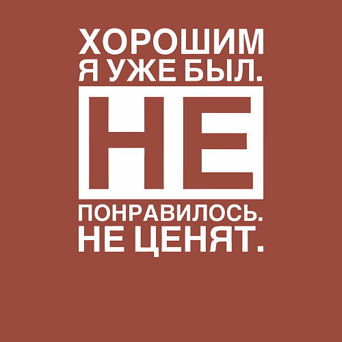 Мужской свитшот Хорошим я уже был Не понравилось Не ценят / Кирпичный – фото 3