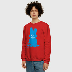 Свитшот хлопковый мужской Blue bunny, цвет: красный — фото 2