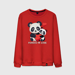 Свитшот хлопковый мужской Влюбленные панды с сердцем, цвет: красный