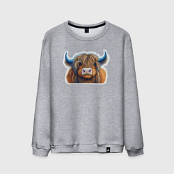 Свитшот хлопковый мужской Шотландский волосатый бык, цвет: меланж