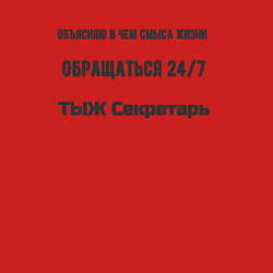 Свитшот хлопковый мужской ТЫЖ секретарь, цвет: красный — фото 2