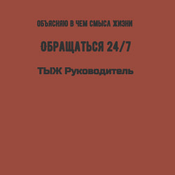 Свитшот хлопковый мужской ТЫЖ руководитель, цвет: кирпичный — фото 2