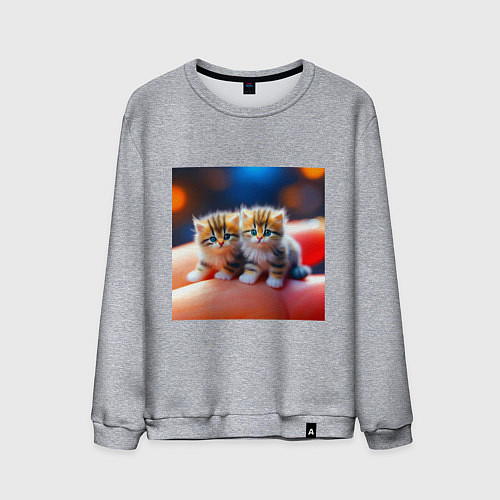 Мужской свитшот Два милых пушистых котика сидят на ладони / Меланж – фото 1