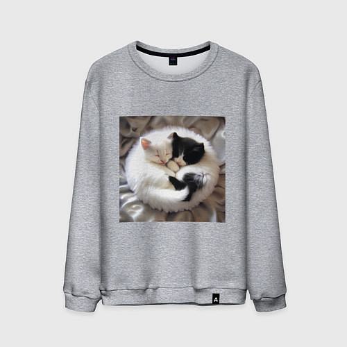 Мужской свитшот Два любящих котика обнимаются клубочком / Меланж – фото 1