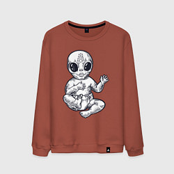 Мужской свитшот Baby alien