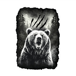 Свитшот хлопковый мужской Большой Медведь, цвет: белый — фото 2