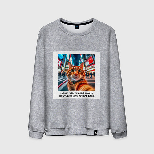 Мужской свитшот Рыжий кот: момент начать жить свою лучшую жизнь / Меланж – фото 1