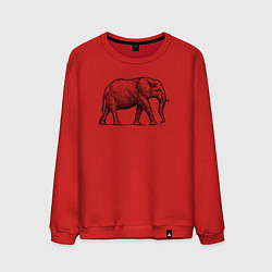 Свитшот хлопковый мужской Слон гуляет, цвет: красный