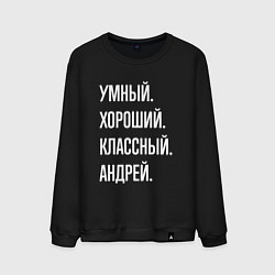 Свитшот хлопковый мужской Умный хороший классный Андрей, цвет: черный