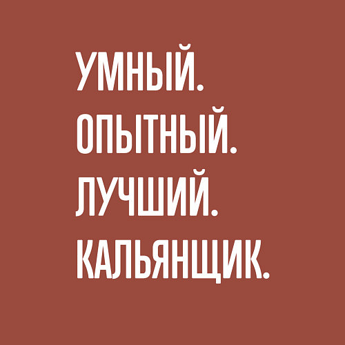 Мужской свитшот Умный опытный лучший кальянщик / Кирпичный – фото 3