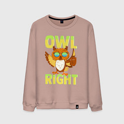 Свитшот хлопковый мужской Owl right - каламбур отлично, цвет: пыльно-розовый