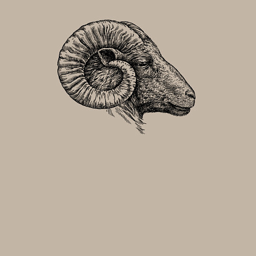 Мужской свитшот Профиль барана / Миндальный – фото 3