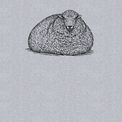 Свитшот хлопковый мужской Овца лежит, цвет: меланж — фото 2