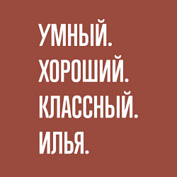Свитшот хлопковый мужской Умный хороший классный Илья, цвет: кирпичный — фото 2
