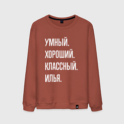Мужской свитшот Умный хороший классный Илья