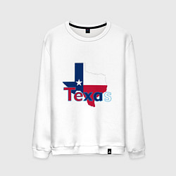 Мужской свитшот Texas