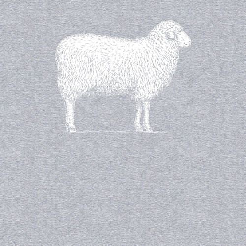 Мужской свитшот Белая овечка / Меланж – фото 3