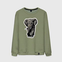 Свитшот хлопковый мужской Большой африканский слон, цвет: авокадо