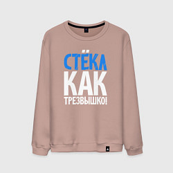 Мужской свитшот Трезв как стёклышко