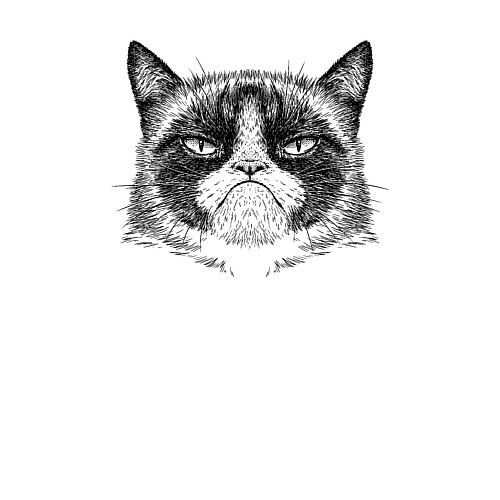 Мужской свитшот Grumpy cat мем / Белый – фото 3