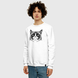 Свитшот хлопковый мужской Grumpy cat мем, цвет: белый — фото 2