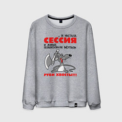 Мужской свитшот И настала сессия - руби хвосты