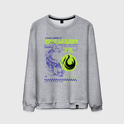 Свитшот хлопковый мужской Только истинная мудрость, цвет: меланж