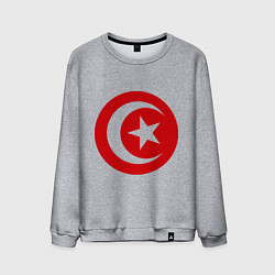 Свитшот хлопковый мужской Тунис, цвет: меланж