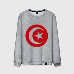 Свитшот хлопковый мужской Тунис, цвет: меланж