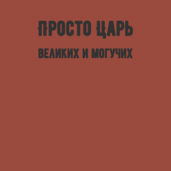 Свитшот хлопковый мужской Просто царь великих и могучих, цвет: кирпичный — фото 2