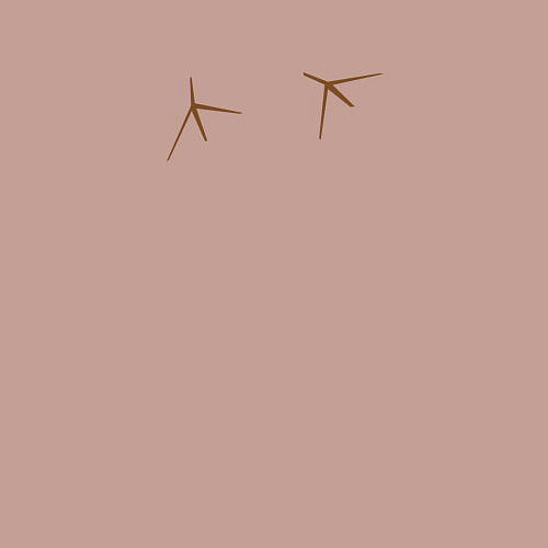 Мужской свитшот Птичьи следы лапки / Пыльно-розовый – фото 3