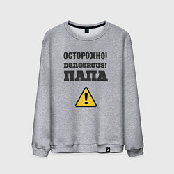 Свитшот хлопковый мужской Осторожно папа, цвет: меланж