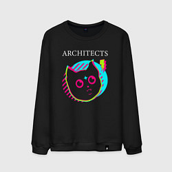 Свитшот хлопковый мужской Architects rock star cat, цвет: черный