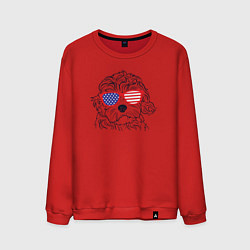 Свитшот хлопковый мужской USA dog, цвет: красный