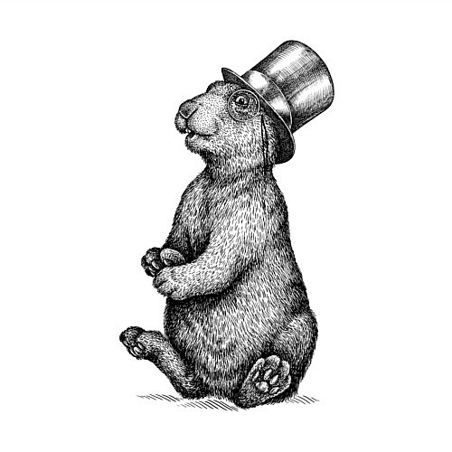 Мужской свитшот Заяц в цилиндре / Белый – фото 3