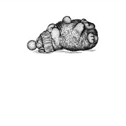 Свитшот хлопковый мужской Кролик в шапке отдыхает, цвет: белый — фото 2